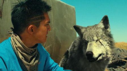 在线观看 狼,野性呼唤下的生存传奇